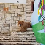 Σπίτι διακοπών Liberan