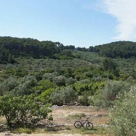 Liberan Casa vacanze *