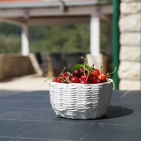 Liberan Holiday home