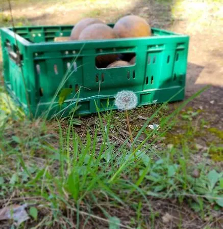 Liberan Casa vacanze *